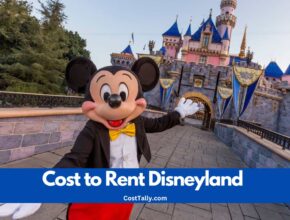 How Much Does It Cost to Rent Disneyland