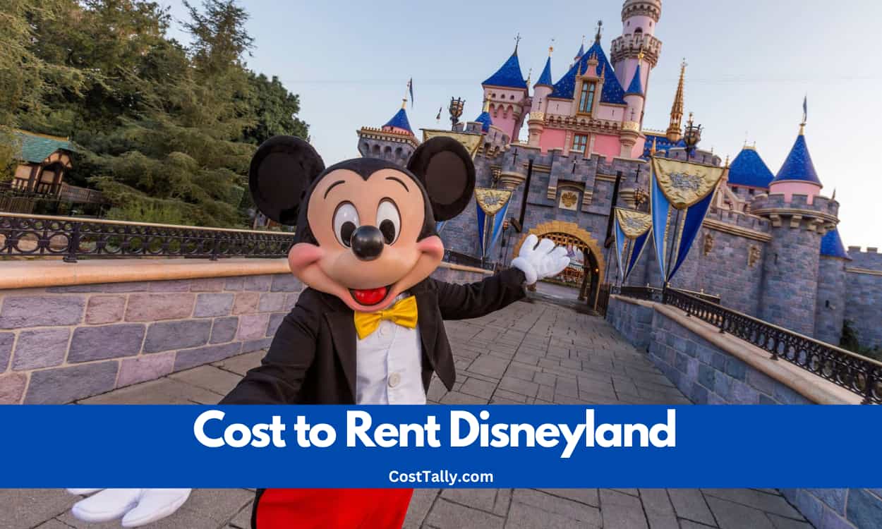 How Much Does It Cost to Rent Disneyland