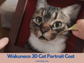 How Much Does a Wakuneco 3D Cat Portrait Cost