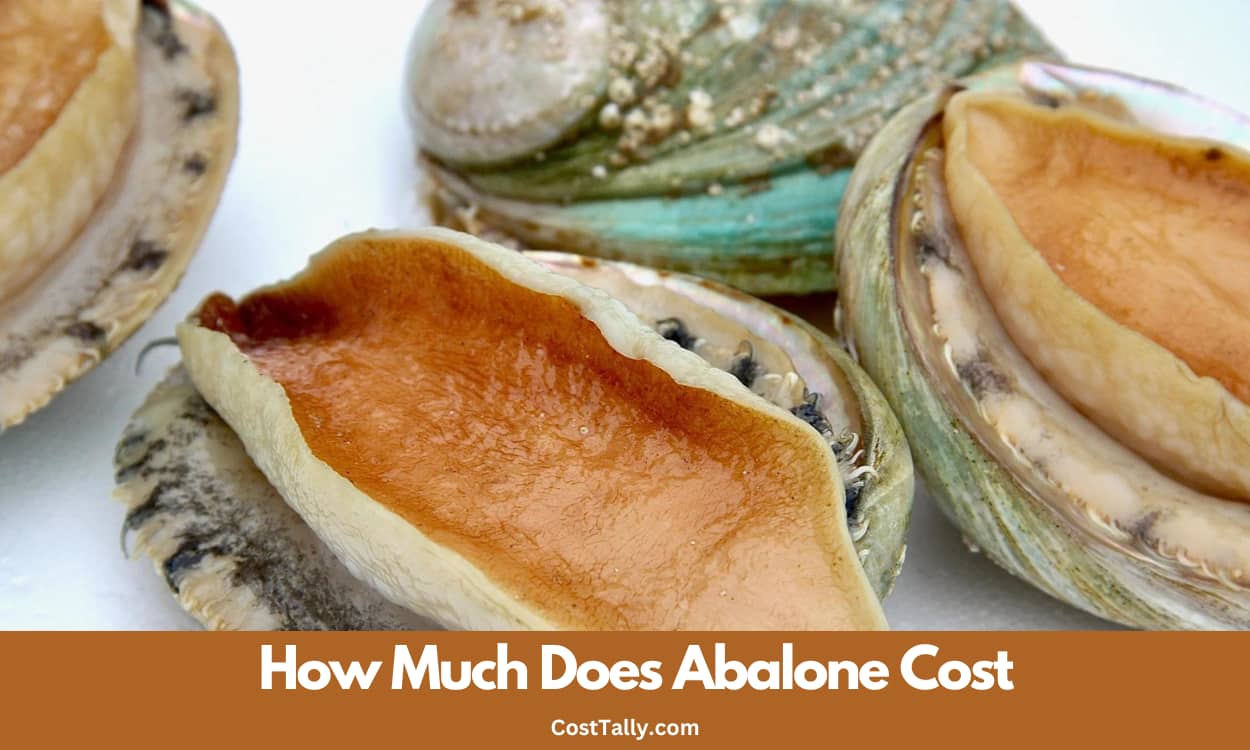 How Much Does Abalone Cost