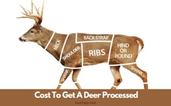 How Much Does It Cost To Get A Deer Processed