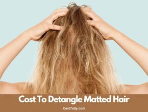 How Much Does It Cost To Detangle Matted Hair