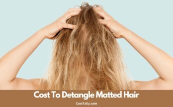 How Much Does It Cost To Detangle Matted Hair