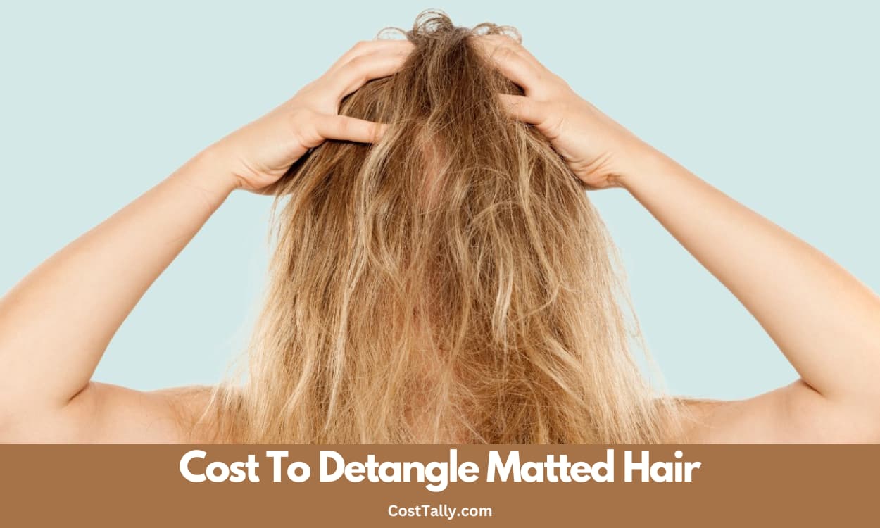 How Much Does It Cost To Detangle Matted Hair