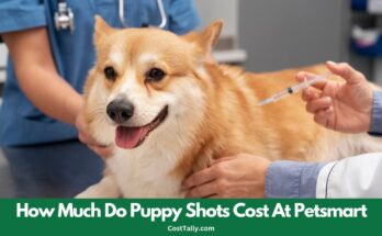 How Much Do Puppy Shots Cost At Petsmart