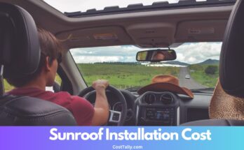 How Much Does Sunroof Installation Cost