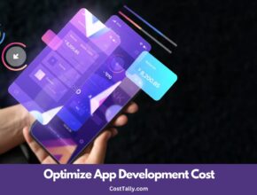 Optimize App Development Cost