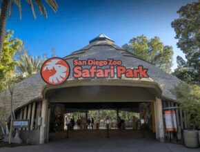 San Diego Zoo Membership Cost