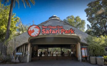 San Diego Zoo Membership Cost