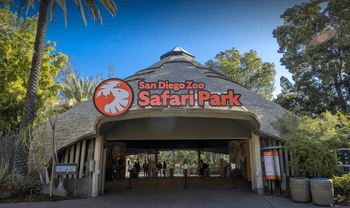 San Diego Zoo Membership Cost