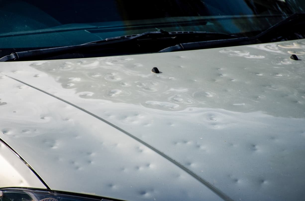 Hail Damage Repair Cost