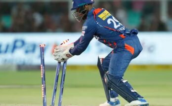 How Much Do IPL LED Stumps Cost